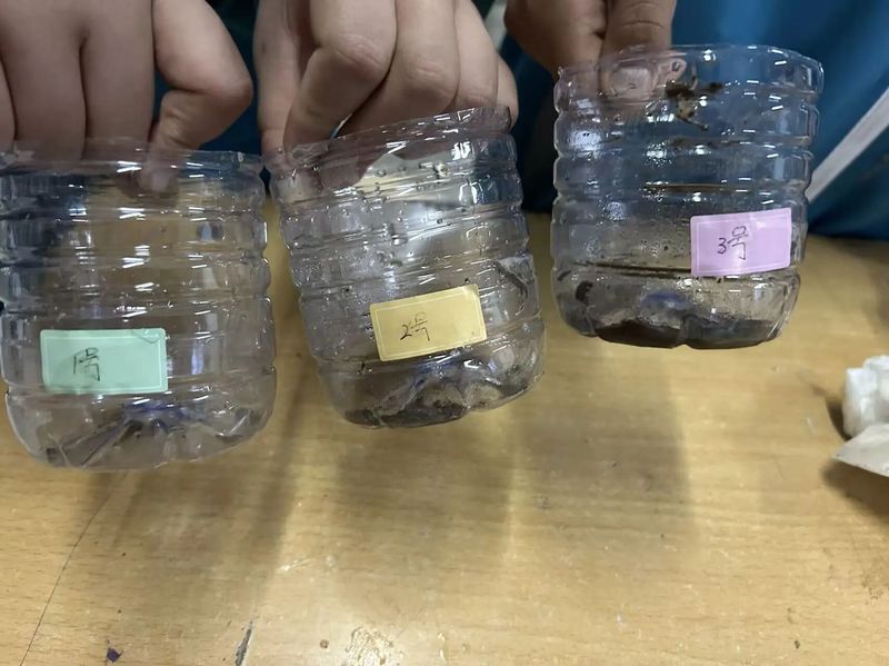 《小小矿泉水瓶 揭秘植物护土魔法》——新乡市第十中学生物组科学教育优秀课例展评（八）