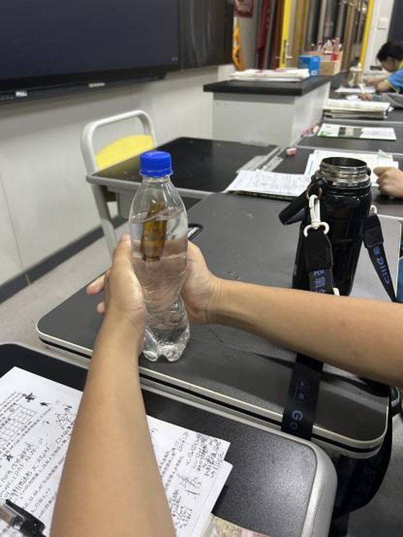 《制作浮沉子》——新乡市第十中学物理组科学教育优秀课例展评（八）