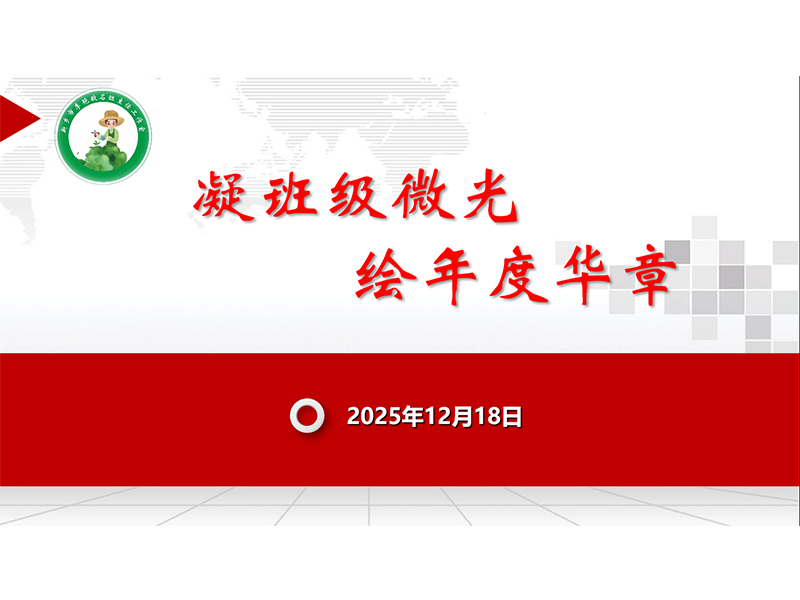 凝聚班级微光 绘就育人华章——新乡市第十中学聚焦班级文化建设研讨会
